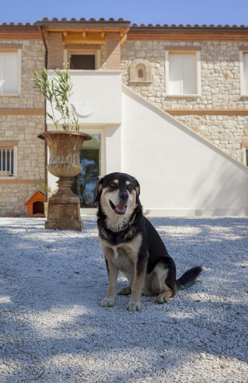 Borgoparvo Countryvilla Сироло Экстерьер фото